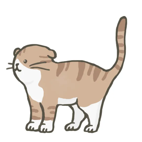 飼い主さまコメント