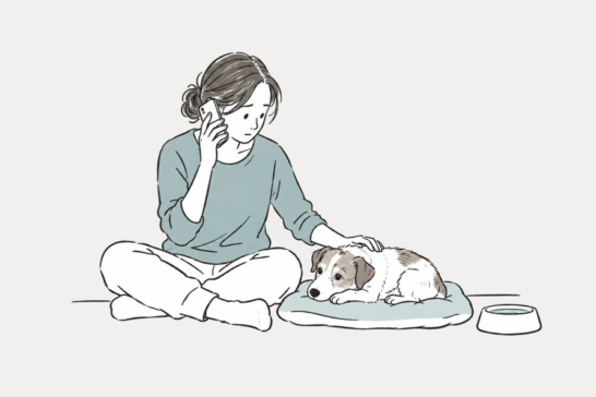 犬の下痢が続くのはなぜ？薬が効かない・やめると繰り返すときの治療と検査のサムネイル画像