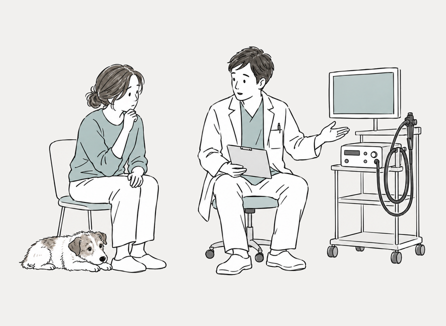 内視鏡などの追加検査について獣医師から説明を受ける飼い主。