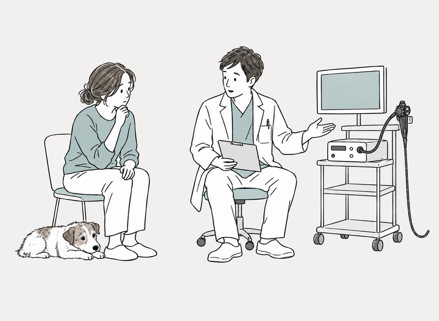 消化器内視鏡の機器を示して検査を説明する獣医師